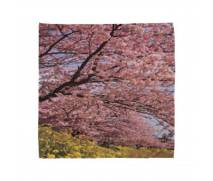 Spring Sakura Japanese Bandana