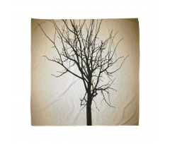 Barren Tree on Ombre Bandana