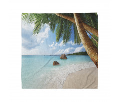 Exotic Palm Tree Ocean Bandana