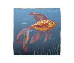 Aquarium Fishes in Water Bandana