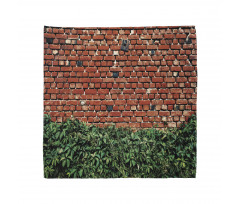 Wall with Green Leaves Bandana