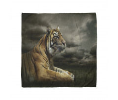 Jungle African Cat Clouds Bandana