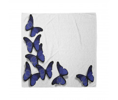 European Union Butterflies Bandana