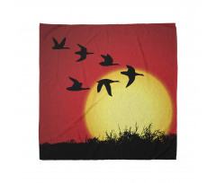 Skein of Geese Migrate Sunset Bandana