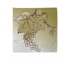 Fruits and Leaves on Ombre Bandana