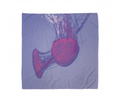 Sea Creature Beauty Float Bandana