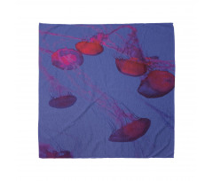 Tropical Underwater Bloom Bandana