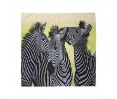 Zebras Wild Nature Bandana