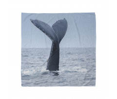 Whale Tail Puerto Lopez Bandana