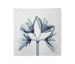 Xray Amaryllis Flowers Deco Bandana