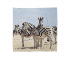 Hayvan Deseni Bandana Zebra Sürüleri