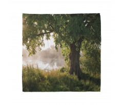 Stream Mystic Foggy Scene Bandana