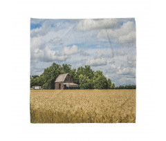 Cottage in a Wheat Field Bandana