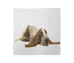 Long Eared Dog Bandana