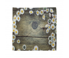 Fresh Spring Daisies Bandana