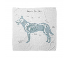 Bones of the Dog Table Bandana