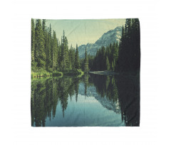 Tree Reflections on Calm Water Bandana