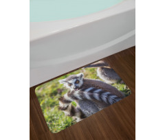 Ring Tailed Funny Expression Bath Mat