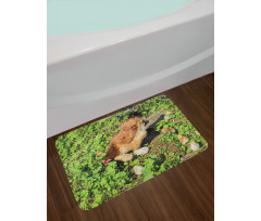 Animals on Shamrocks Bath Mat