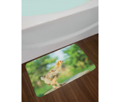 Little Baby Chicken on Log Bath Mat