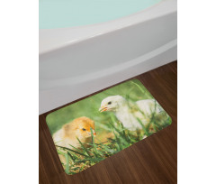 Close up Photo Baby Chickens Bath Mat