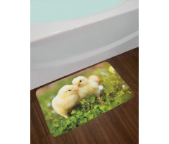 Baby Chickens Photo Bath Mat