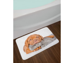 Sad Bordeaux and Kitten Bath Mat