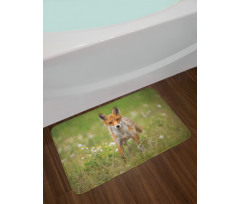 Young Curious Coyote Animal Bath Mat