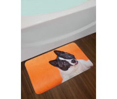 Akita on Orange Bath Mat