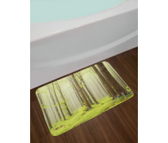 Misty Beech Forest Photo Bath Mat