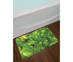 Photo of Tropic Botany Bath Mat