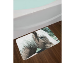 Draft Horse from Netherlands Bath Mat