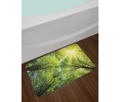 Romantic Beech Trees Bath Mat