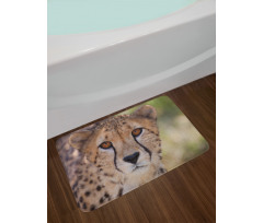 Spring Scenery in Alps Bath Mat