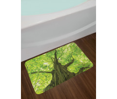 Old Big Majestic Tree Bath Mat