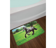 Friesian Horse Bath Mat