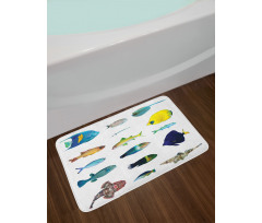 Marine Life Creatures Bath Mat