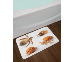 Hermit Crabs Pattern Bath Mat