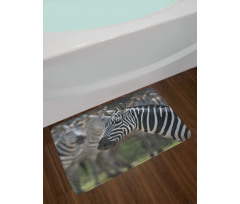 Zebra in Serengati Park Bath Mat