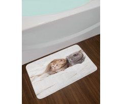 Scottish Fold Kittens Bath Mat