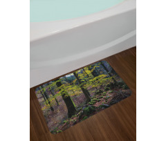 Trees Autumn Wilderness Bath Mat