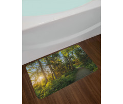 National Park Trees Path Bath Mat