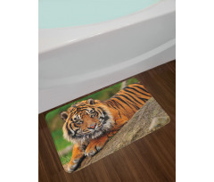 Tiger Crouching on Rock Bath Mat