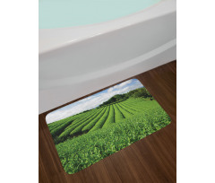 Sunny Landscape Tea Fields Bath Mat