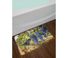 Rows of Wine Fruits in Italy Bath Mat