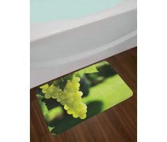 Bunch of Fruits Hanging Photo Bath Mat