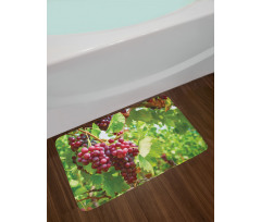 Bunch of Wine Fruits Foliage Bath Mat