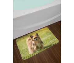 Long Haired Small Dog Bath Mat