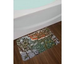 Lake Superior Winter Side Bath Mat