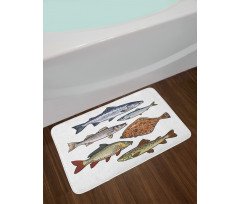 Drawn Various Species of Fish Bath Mat